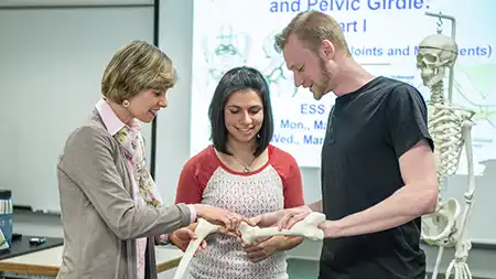 Professor and students inspecting human skeleton.