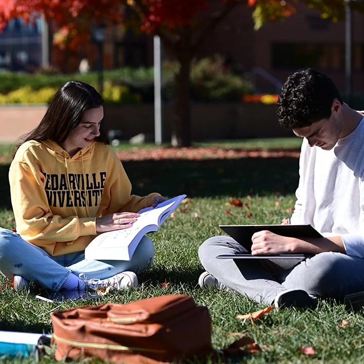 Two students studying outside