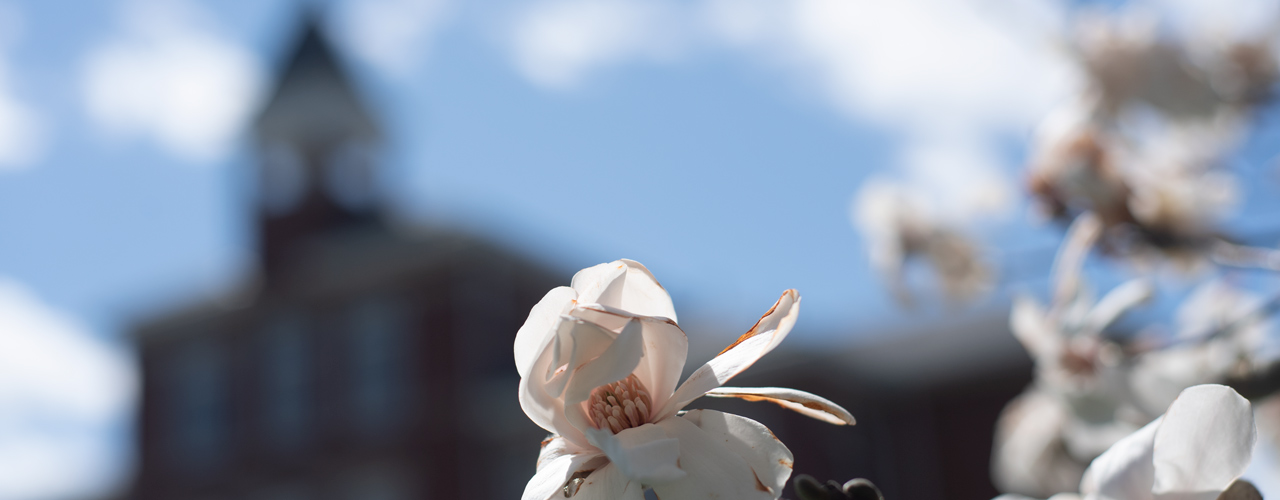 Spring 2020 at Founders Hall