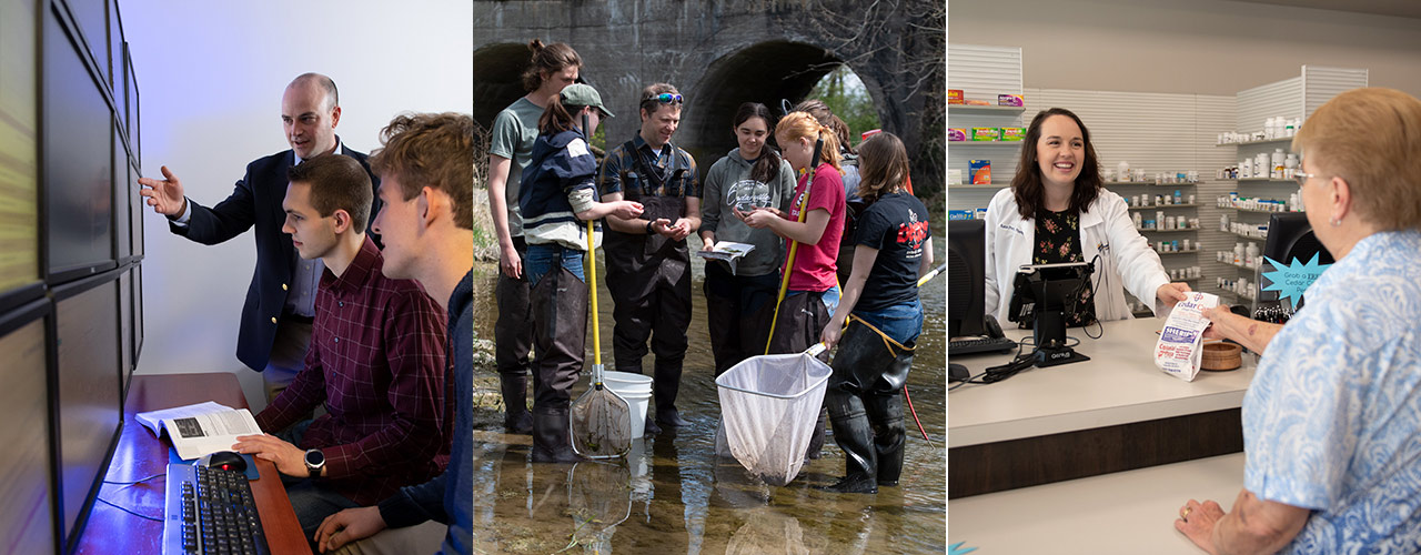 Students learning in cyber security and environmental science and a pharmacy student serving at a pharmacy
