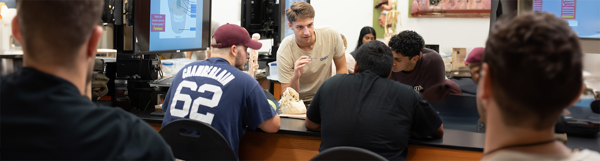 Biology students studying a skeleton model around a lab table.