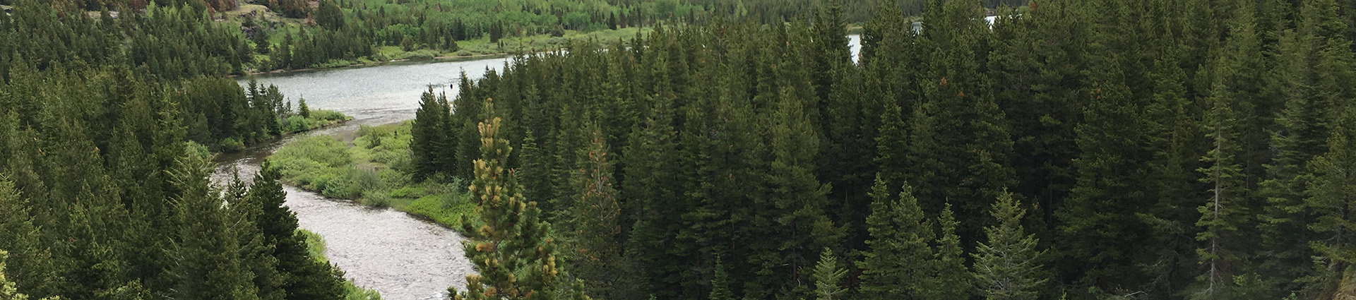 River and trees in Glacier National Park.