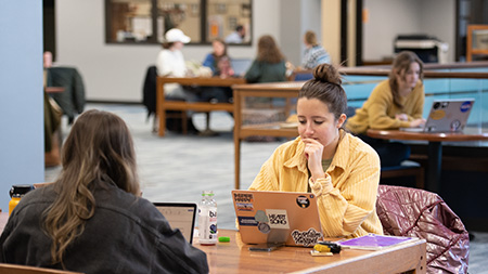 Students studying in the library