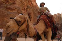 Israel Bible Extension of The Master's College (IBEX)