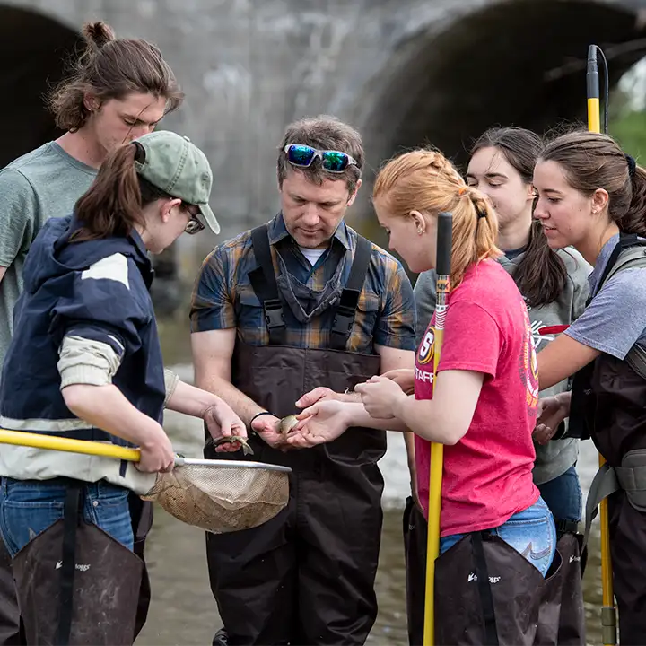 People wearing wading trousers by a river holding fish caught by small nets.