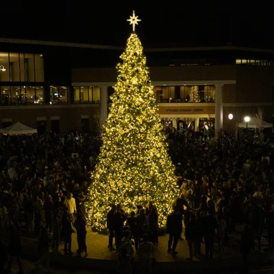 Lighted Christmas tree outside.